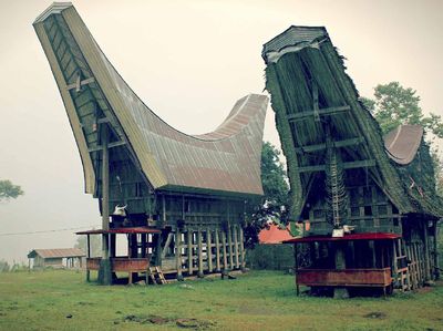 Rumah Adat Tongkonan, Selalu Bikin Hati Tertawan