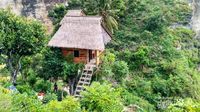 Rumah Pohon Ini Hanya Untuk Orang-orang Berani!