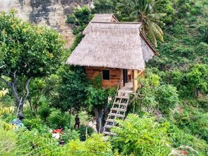 Rumah Pohon Ini Hanya Untuk Orang-orang Berani!