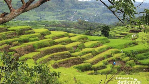 Ruteng, Surga Kecil di Flores