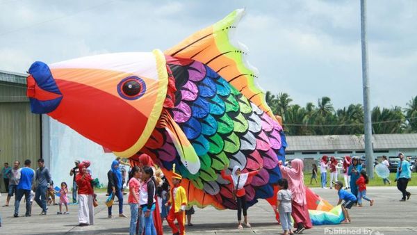 Saat Ratusan Layang-layang Cantik Hiasi Langit Pulau Natuna