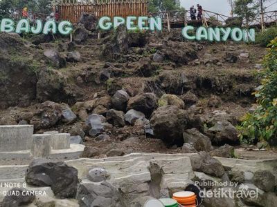 Sakura di Sibajag Green Canyon Temanggung