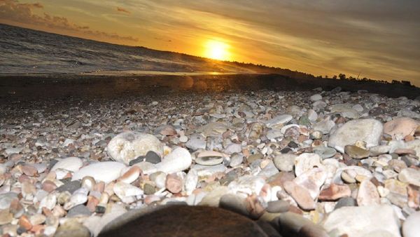 Salah Satu Keindahan Alam Indonesia - Pantai Batusela