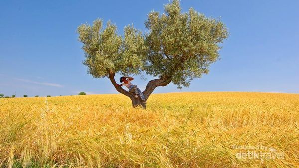 San Severino, Kota di Italia dengan Pemandangan bak Negeri Dongeng