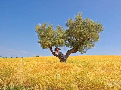 San Severino, Kota di Italia dengan Pemandangan bak Negeri Dongeng