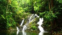 Sang Ibu Di Atas Gunung Tajam