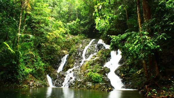Sang Ibu Di Atas Gunung Tajam
