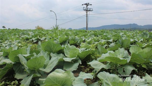 Santai Sejenak di Pemandian Air Panas Guci, Tegal
