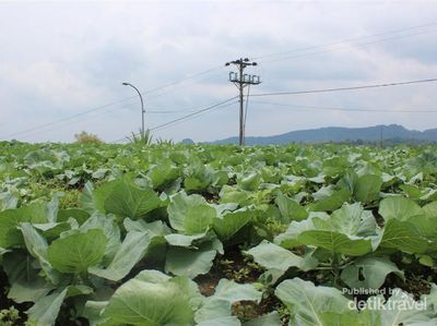 Santai Sejenak di Pemandian Air Panas Guci, Tegal