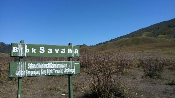 Savana di Afrika? Bukan, Ini di Bromo