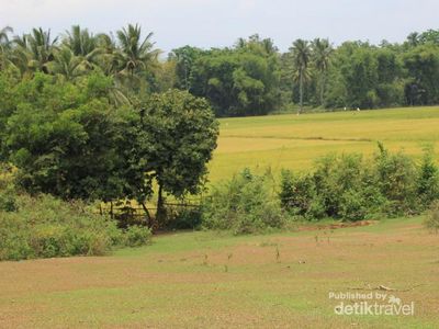Sawah & Bukit Hijau di Glee Gapui, Aceh
