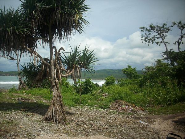 Sawarna, Pantai yang Selalu Bikin Jatuh Cinta!