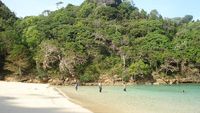 Segara Anakan Masih Lebih Indah dari Pattaya di Thailand