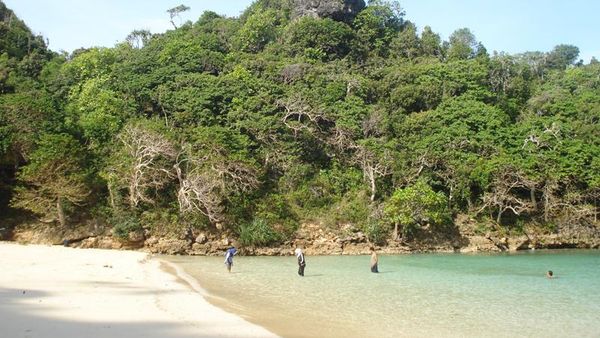 Segara Anakan Masih Lebih Indah dari Pattaya di Thailand