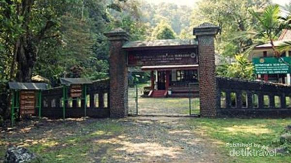 Segarnya Air Terjun Cibeureum Selabintana di Gede Pangrango