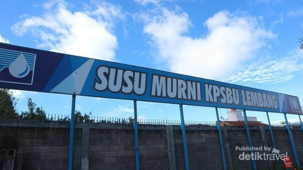 Segarnya Nyusu di Lembang