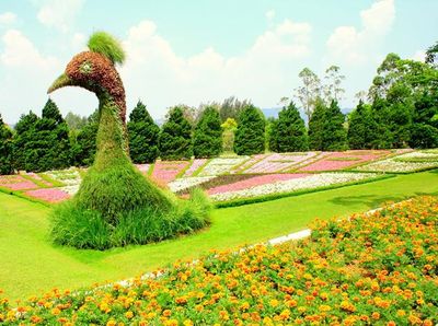 Sejuk dan Eksotis, Taman Bunga Nusantara di Cipanas