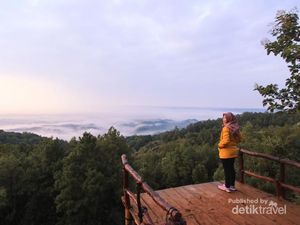Sejuknya Pagi di Hutan Pinus Asri Bantul Saat Libur Waisak