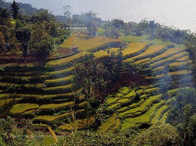 Selain Laut, Solok Punya Semua Destinasi Wisata
