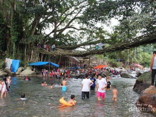 Selama Libur Lebaran, Jembatan Akar di Sumbar Penuh Wisatawan