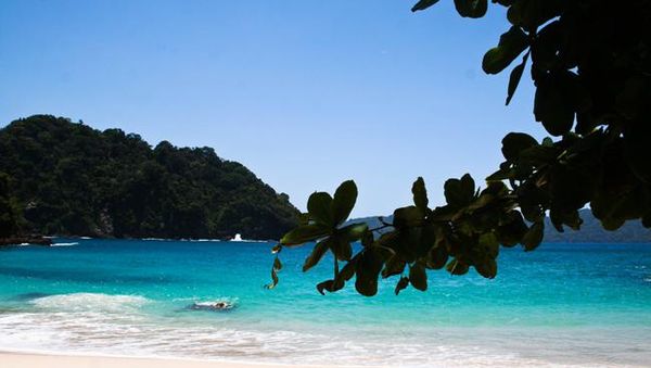 Selamat Datang di Teluk Hijau