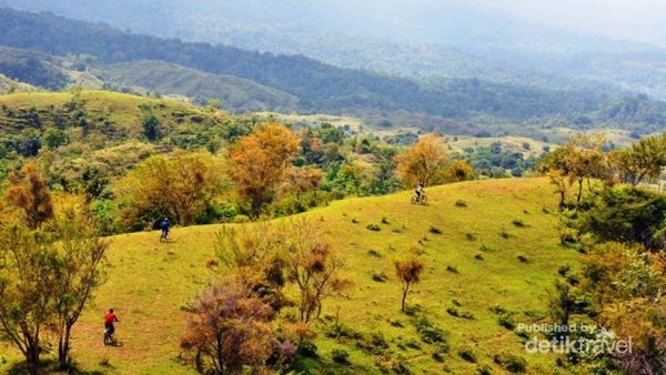 Selandia Baru? Bukan, Ini Cagar Alam Jantho di Aceh
