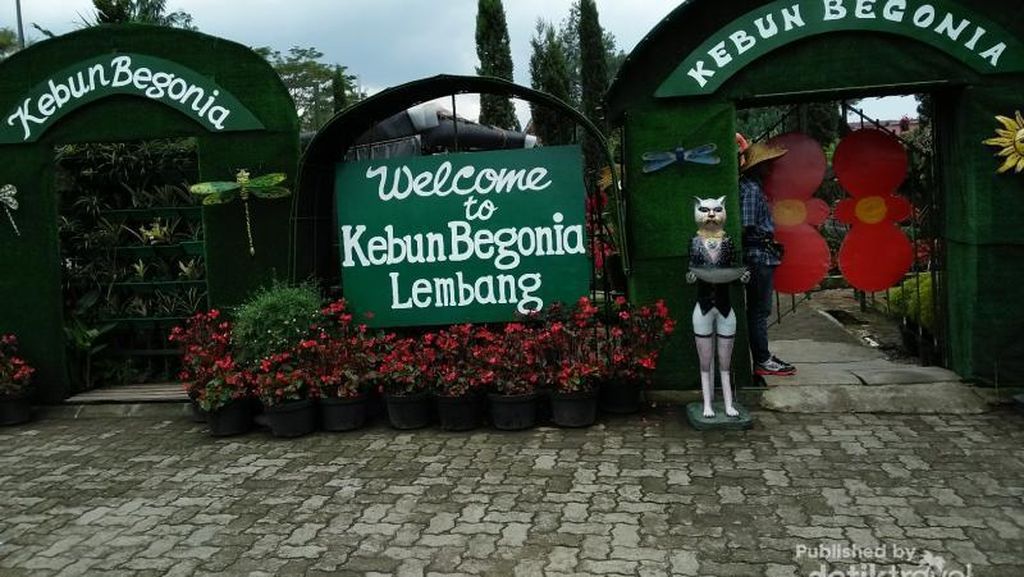 Selfie Sampai Puas di Kebun Bunga Cantik Ini Selfie Sampai Puas di Kebun Bunga Cantik Ini