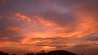 Senja Cantik di Kebun Teh Karanganyar, Jateng
