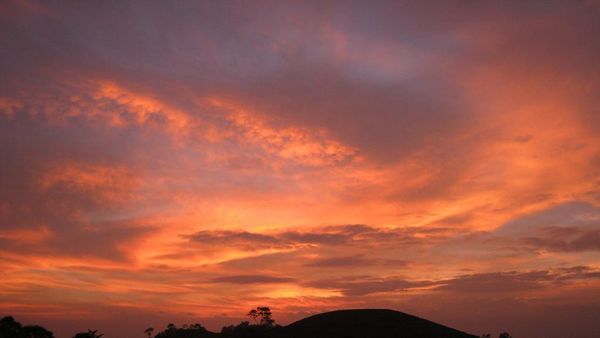 Senja Cantik di Kebun Teh Karanganyar, Jateng