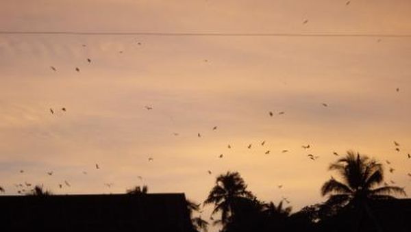 Senja di Kota Batas Negara