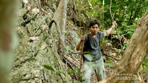 Seperti Padang Rumput Eropa, Padahal Ini di Aceh Besar