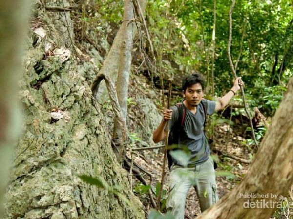 Seperti Padang Rumput Eropa, Padahal Ini di Aceh Besar