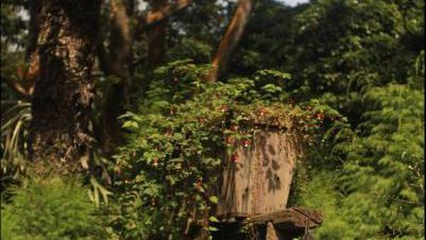 Seperti Suasana Eropa, Padahal Sedang Liburan ke Bandung