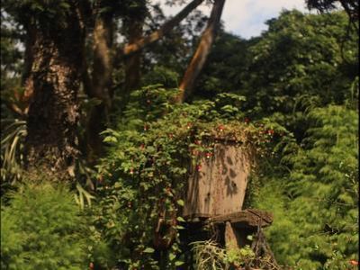 Seperti Suasana Eropa, Padahal Sedang Liburan ke Bandung