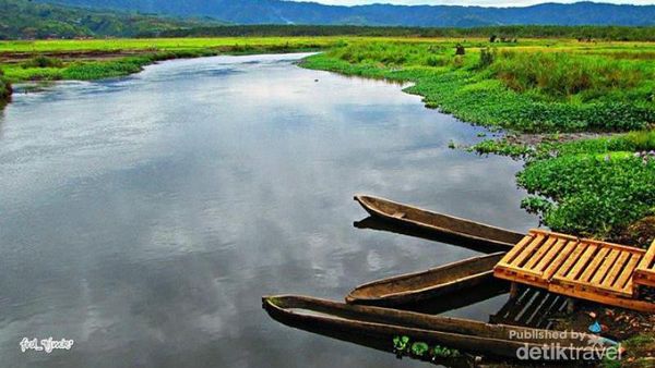 Sepetak Surga di Jambi Bernama Rawa Bento