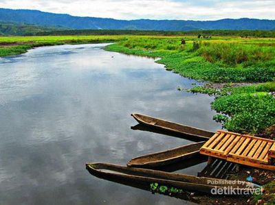 Sepetak Surga di Jambi Bernama Rawa Bento