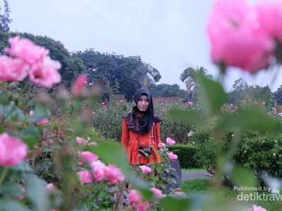 Serasa di Eropa, Padahal di Taman Bunga Nusantara