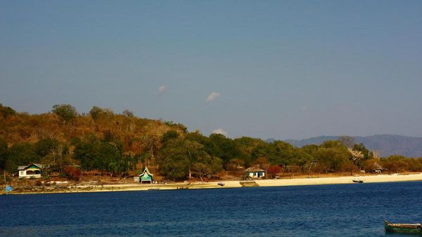 Serpihan Surga di Bawah Laut Pulau Alor