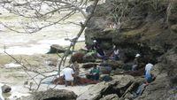 Seru! Berburu Rumput Laut di Nusa Lembongan