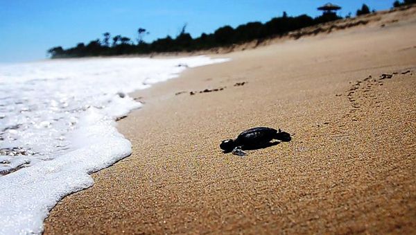 Serunya 3 Hari 2 Malam di Lampung Barat