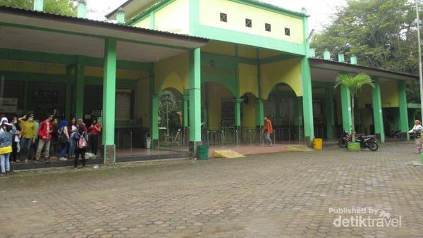 Serunya Akhir Pekan di Kebun Binatang Medan