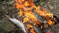 Serunya Bakar Ikan Kerling di Tepian Sungai Krueng Kaleung, Aceh