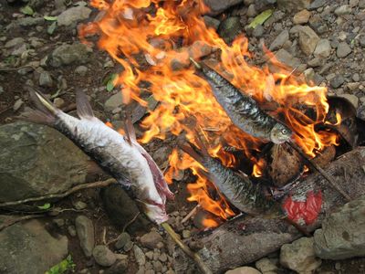 Serunya Bakar Ikan Kerling di Tepian Sungai Krueng Kaleung, Aceh