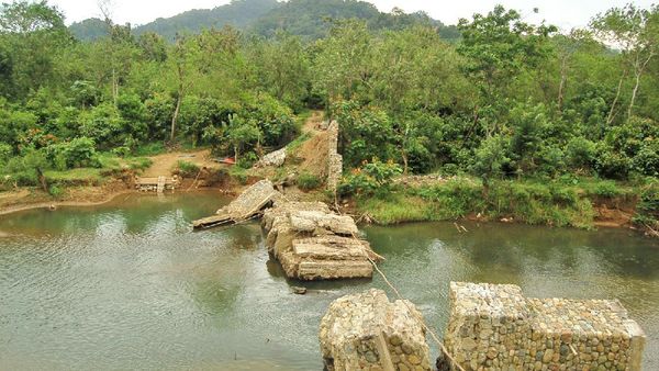 Serunya Bertemu Penyu dan Melepas Tukik di Pantai Sukamade, Jatim