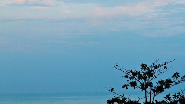 Serunya Bertemu Penyu di Pantai Ujung Genteng, Sukabumi