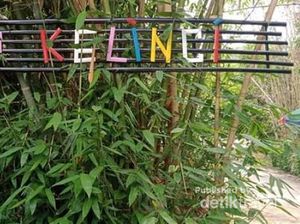 Serunya Main ke Kampung Kelinci di Kediri
