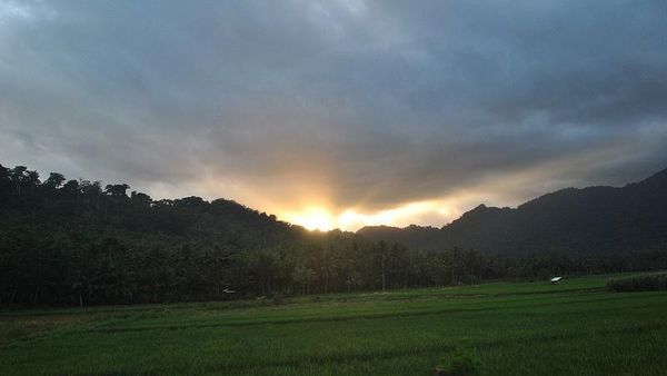 Serunya Melihat Penyu di Pantai Sukamade, Banyuwangi