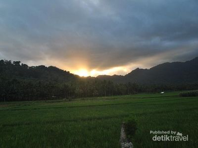 Serunya Melihat Penyu di Pantai Sukamade, Banyuwangi