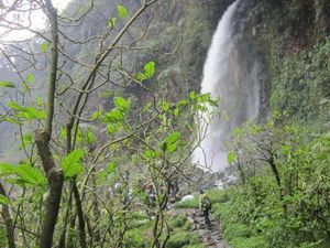 Serunya Trekking di Jembatan Kayu Curug Cibeureum