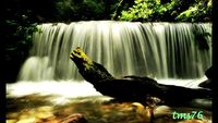 Si Cantik Air Terjun Dua Warna di Tengah Hutan Sumut